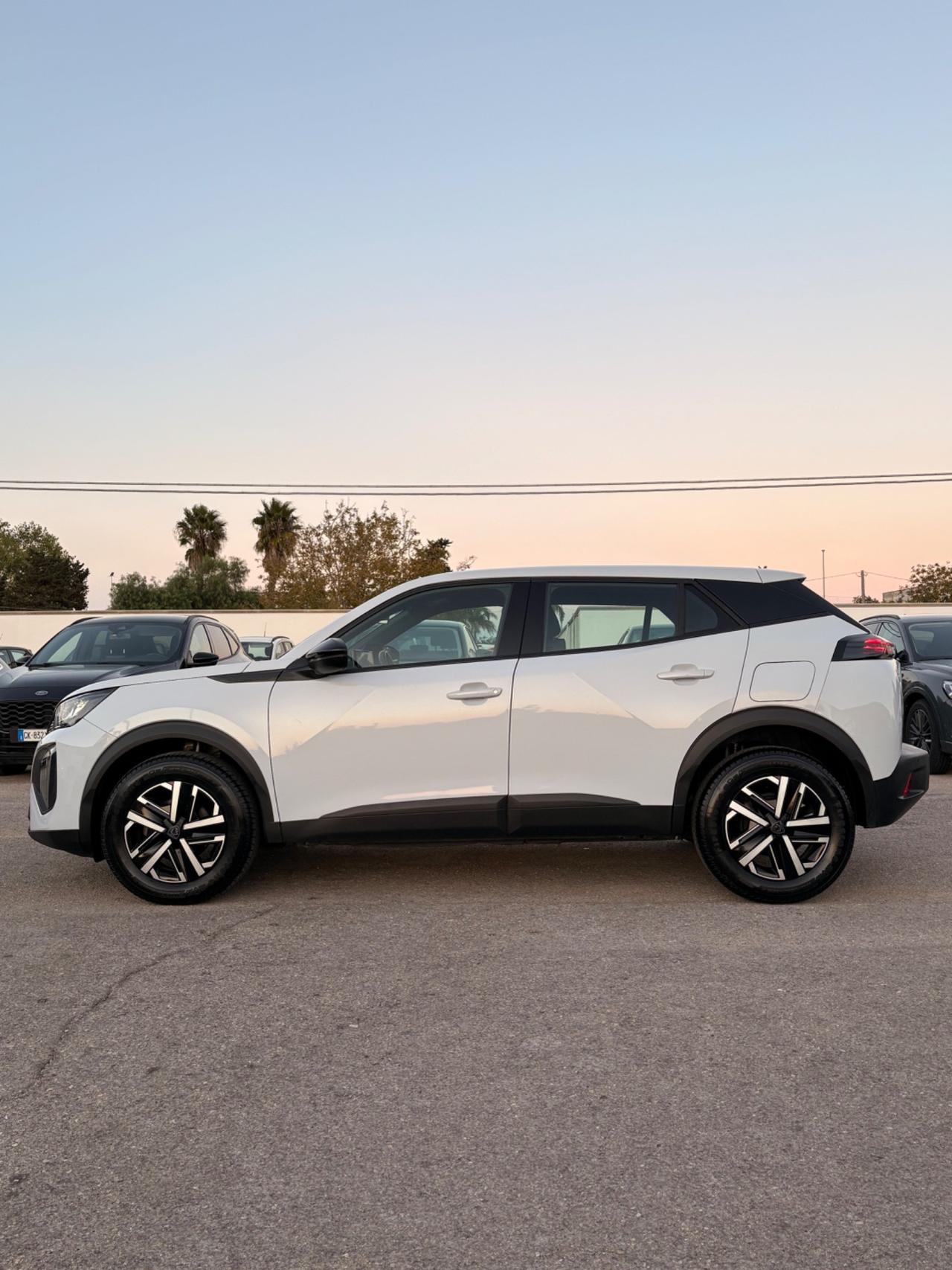 Peugeot 2008 PureTech 100 S&S Active