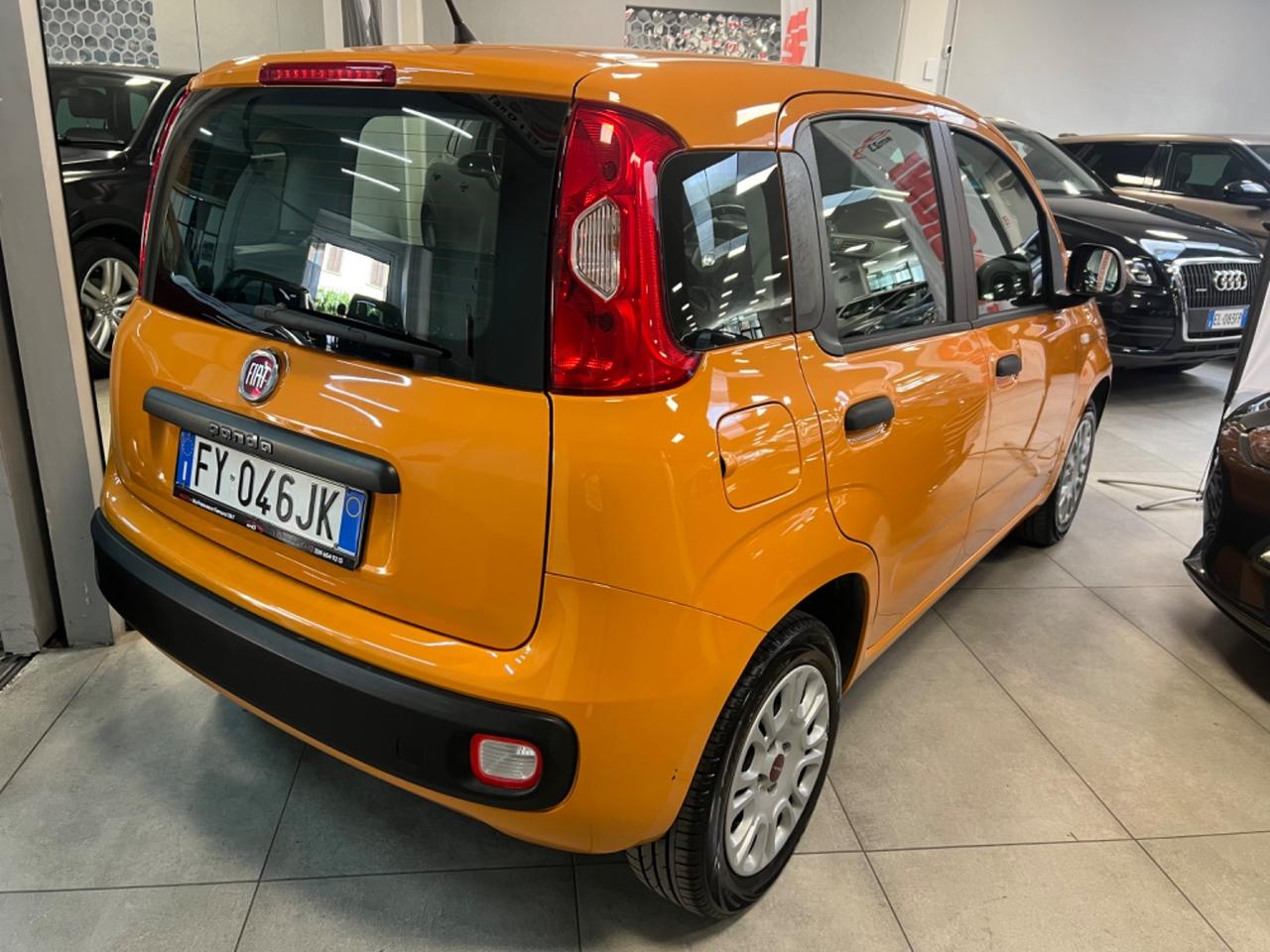 Fiat Panda 1.2 Trussardi 69CV Ok Neopatentati