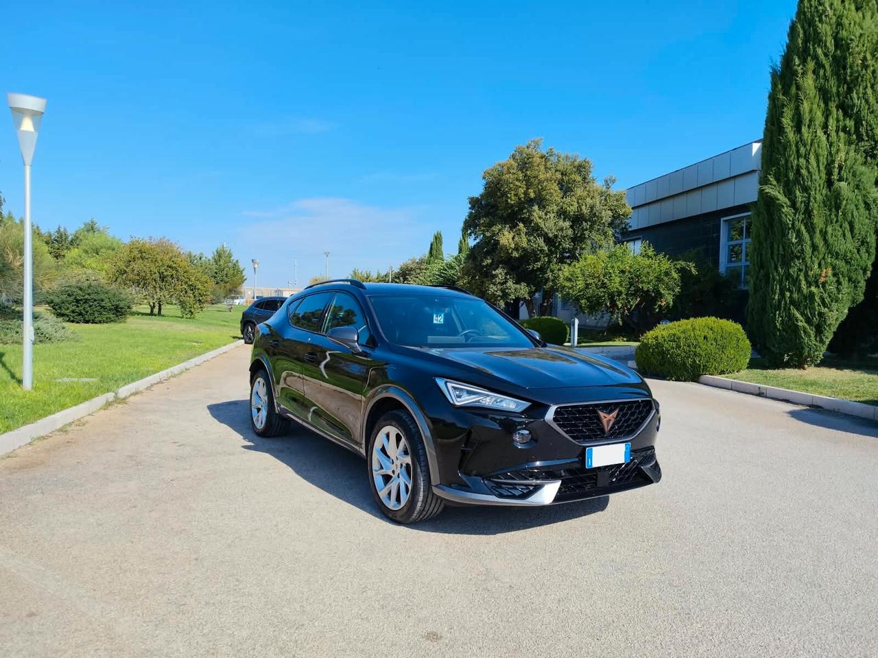 Cupra Formentor 2.0 TDI 4Drive DSG