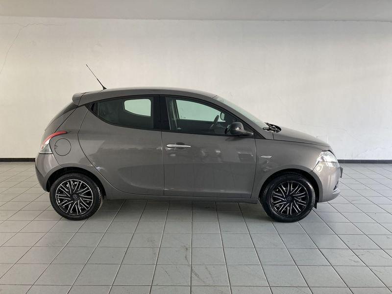 Lancia Ypsilon Ypsilon 1.2 69 CV 5 porte Platinum