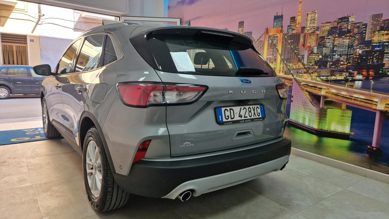 Ford Kuga 1.5 EcoBlue 120 CV aut. 2WD Titanium Business