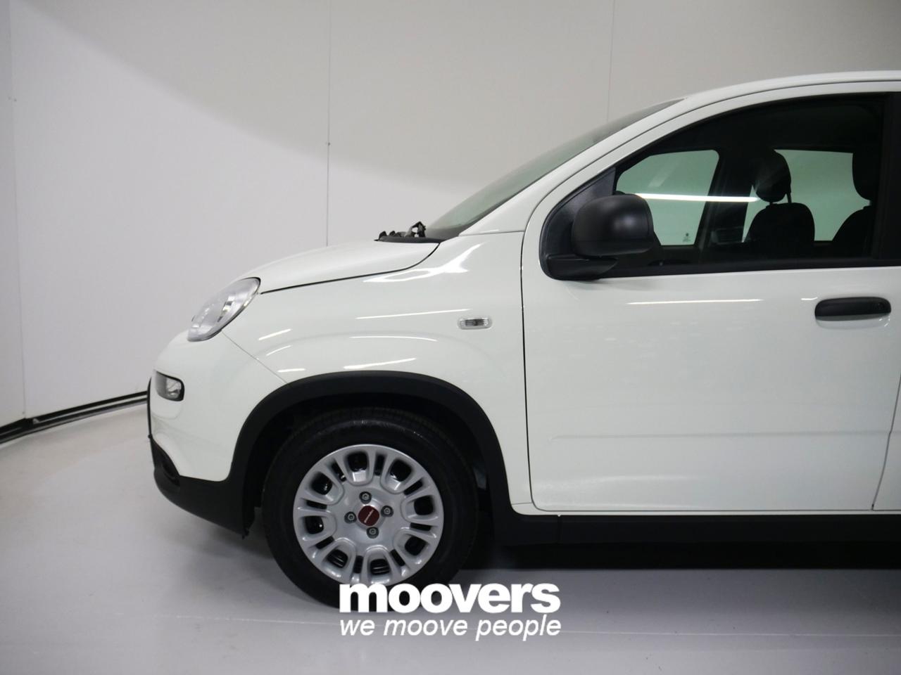 FIAT Panda 3ª serie 1.0 FireFly S&S Hybrid