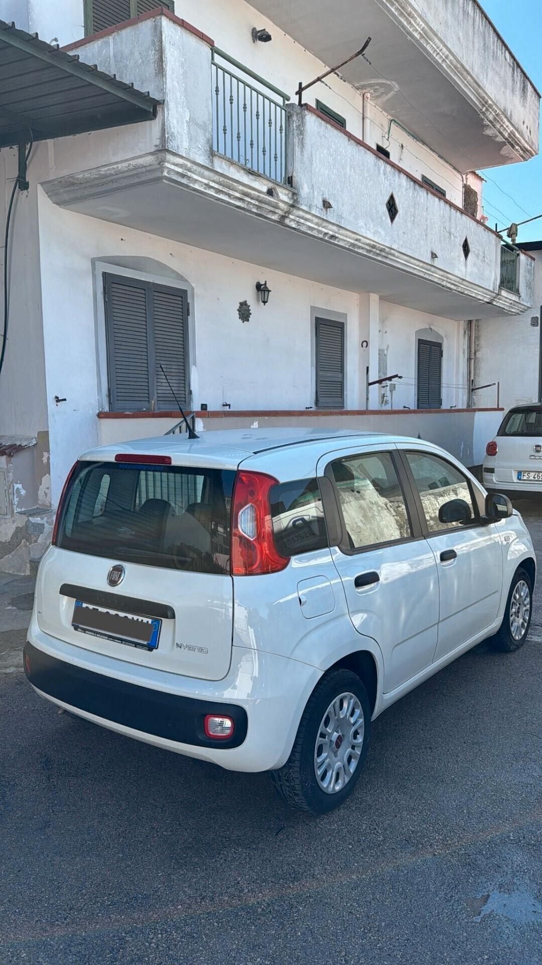 Fiat Panda 1.0 FireFly S&S Hybrid Elettrica - Benzina
