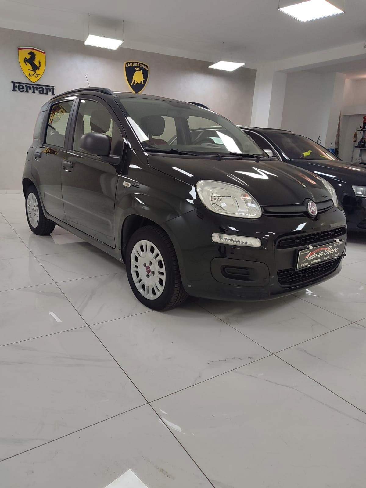 FIAT PANDA 1.2 BENZINA USATO GARANTITO