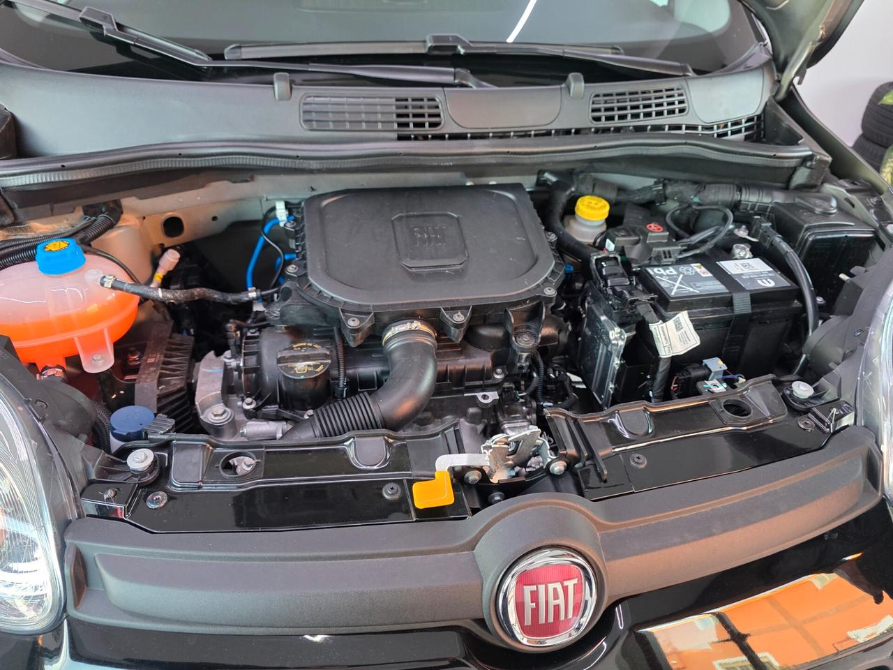 Fiat Panda 1.0 FireFly S&S Hybrid Pandina Uniproprietario nuova