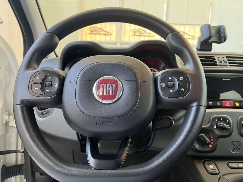 FIAT Panda Panda 1.2 tua da 149,00 al mese
