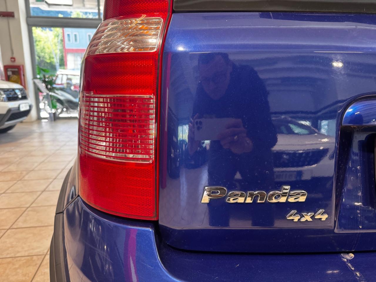 Fiat Panda 1.2 4x4 Climbing 110.000 KM