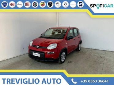 FIAT Panda 1.0 FireFly S&S Hybrid PREZZO VERO