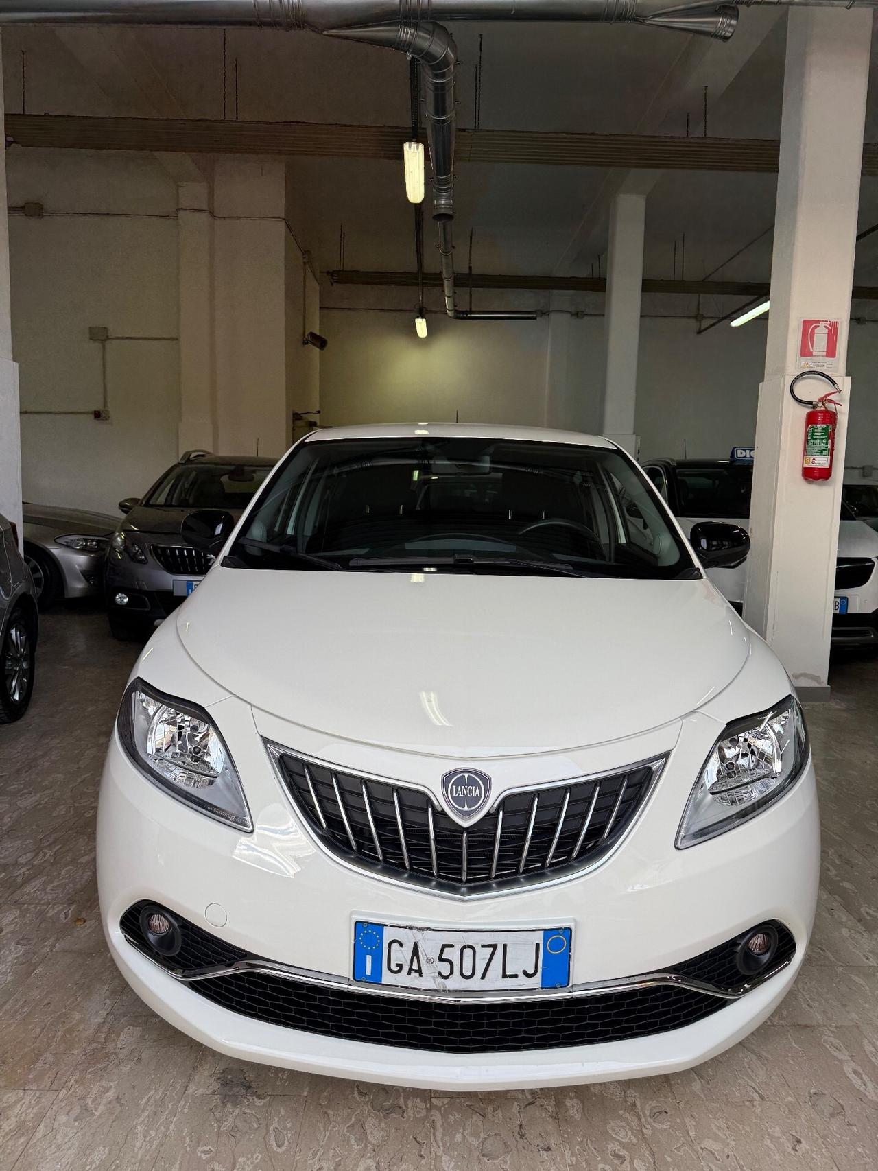 Lancia Ypsilon 1.2 69 CV 5 porte S&S Platinum