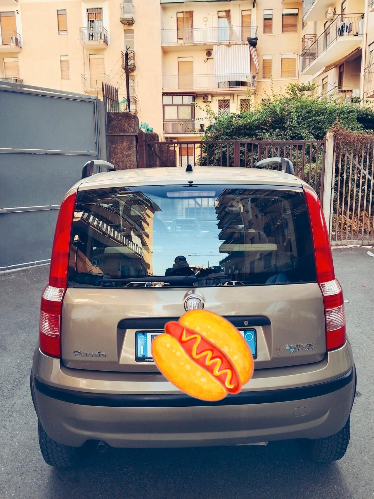 Fiat Panda 1.2 Active Natural Power