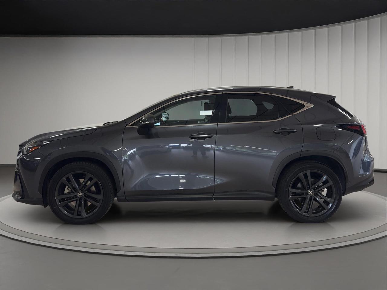 Lexus NX 450h+ 2.5 phev Premium+ 4wd 309cv e-cvt