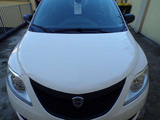 LANCIA Ypsilon 1.0 FireFly 5 porte S&S Hybrid Ecochic Silver