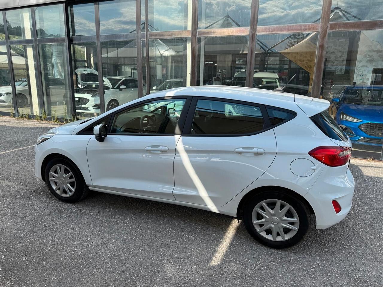 Ford Fiesta 1.1 75 CV GPL 5 porte Business