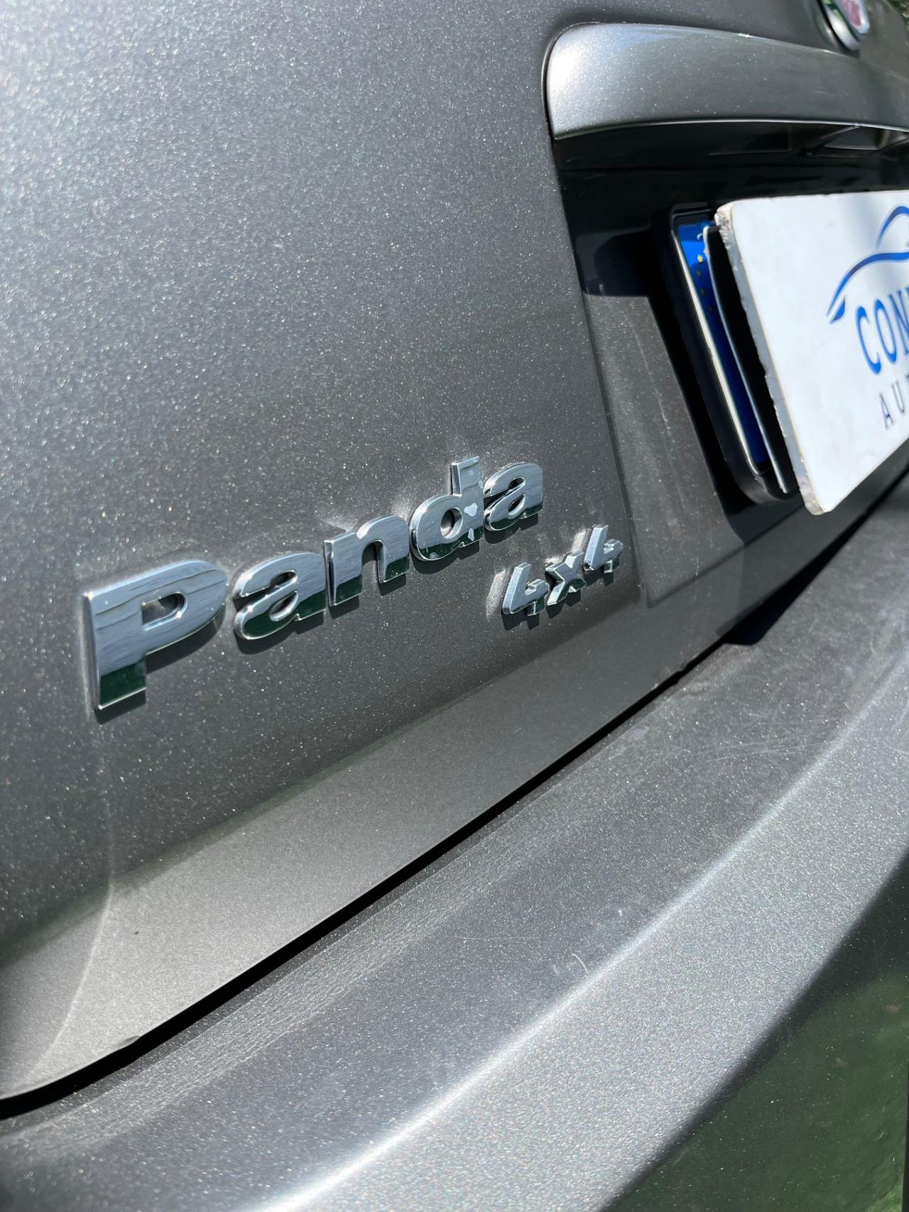 Fiat Panda 1.3 MJT 16V DPF 4x4 Climbing