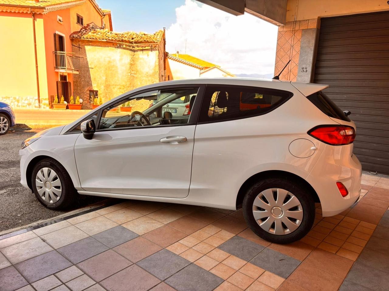 Ford Fiesta 1.0 EcoBoost Hybrid 125 CV 3 porte Van Trend