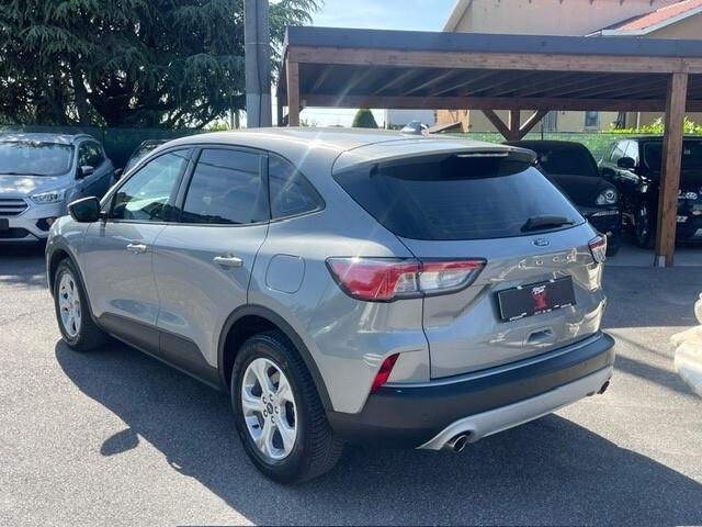 Ford Kuga 1.5 EcoBlue 120 CV aut. 2WD Titanium Business