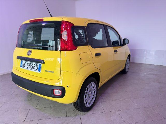 FIAT Pandina 1.0 FireFly 65 CV Hybrid Icon