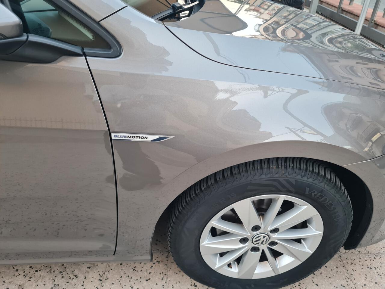 VOLKSWAGEN Golf 1.6 TDI 115 CV 5p. Business Blue