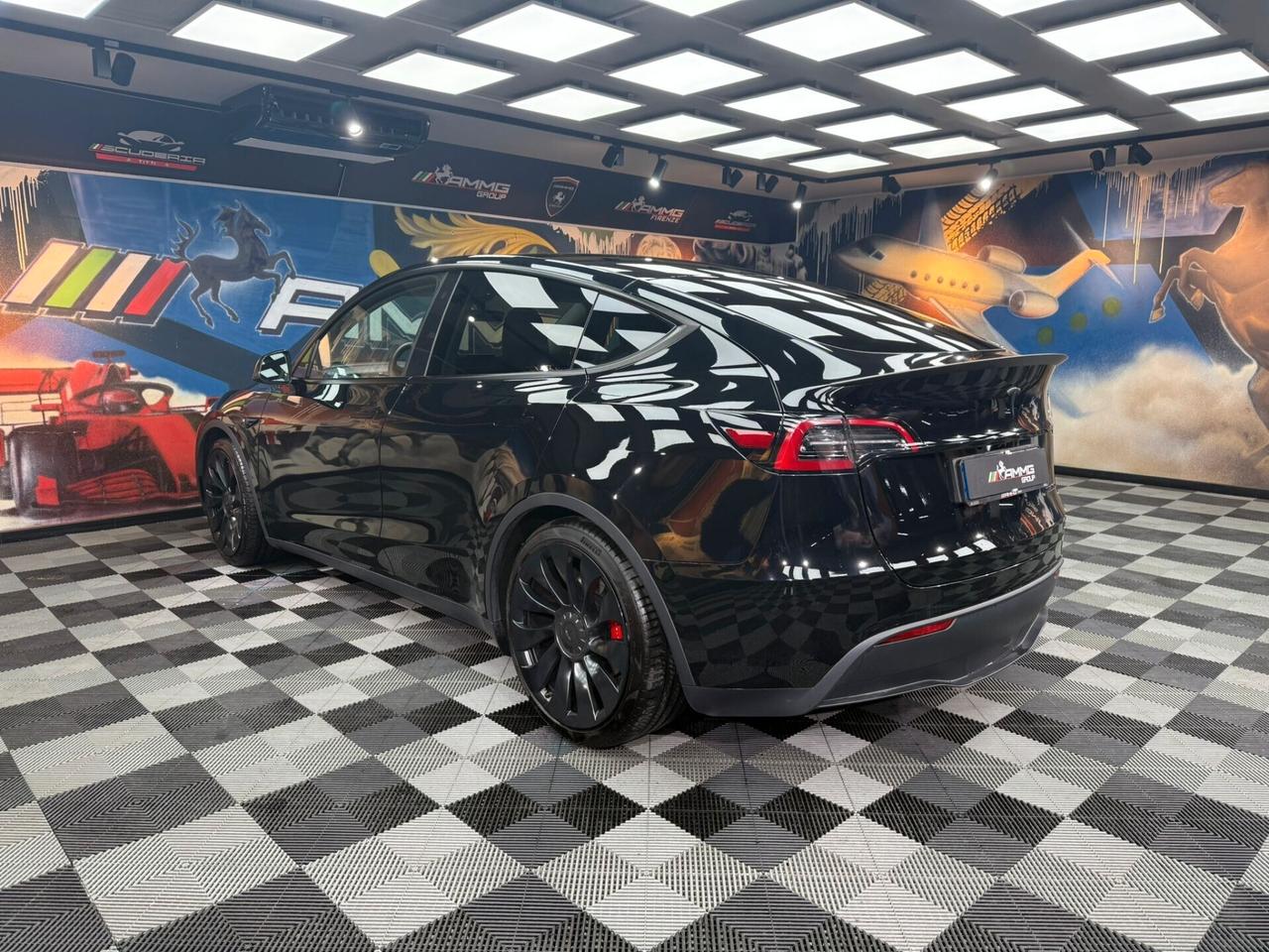 Tesla Model Y AWD Performance (231)