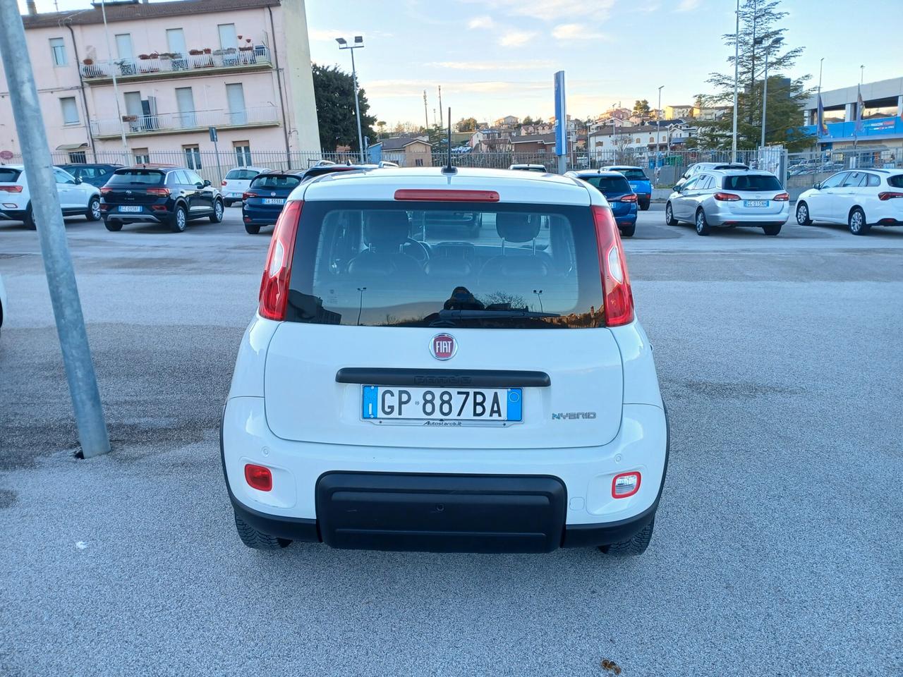 Fiat Panda 1.0 HYBRID 70CV 2023 CITY LIFE