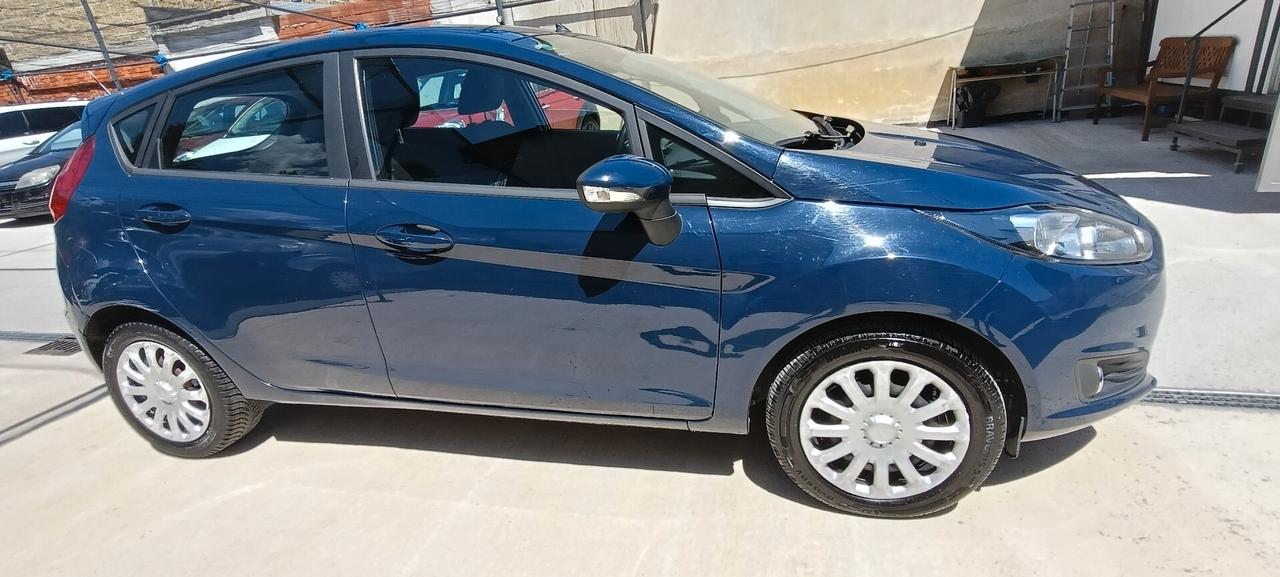 Ford Fiesta 1.4 5 porte Bz.- GPL Black & White Edition