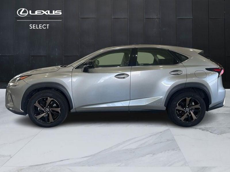 Lexus NX NX 300h 2.5 Sport cvt