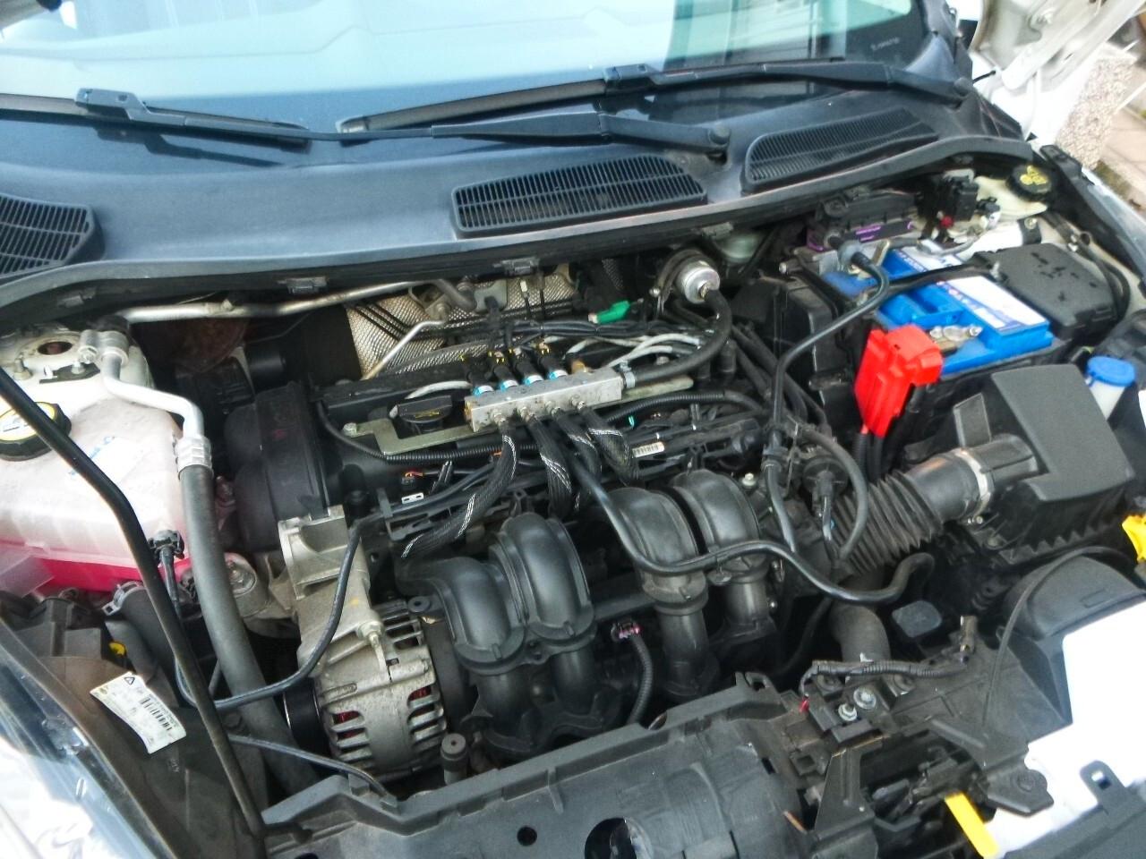 Ford Fiesta 1.4 5 porte Bz.- GPL Titanium