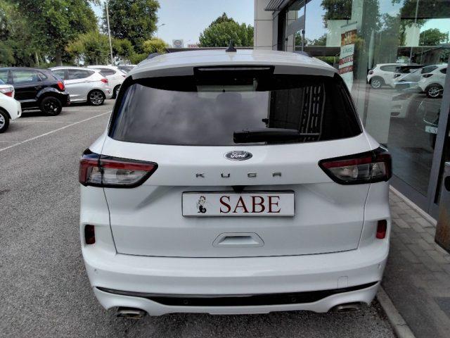FORD Kuga 1.5 EcoBlue 120 CV 2WD ST-Line