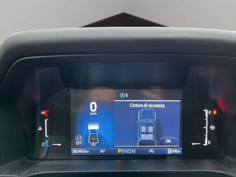 Ford Ranger Ranger 2.0 ecoblue doppia cabina Wildtrak awd 205cv auto - IVA ESCLUSA