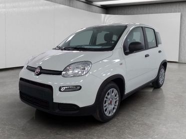 FIAT Panda 1.0 firefly hybrid s&s 70cv 5p.ti