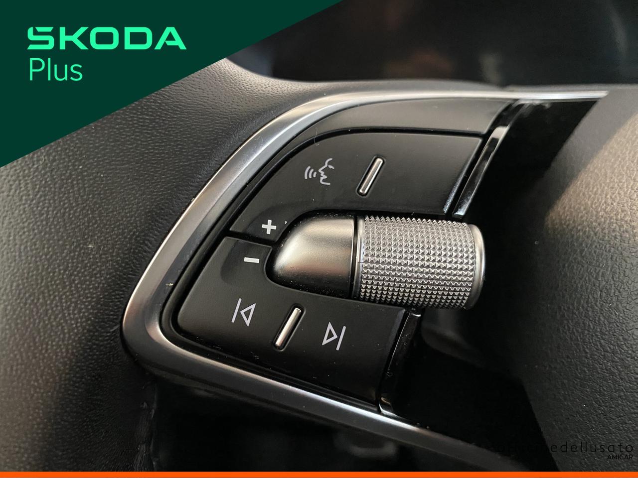 Skoda Fabia 1.0 tsi evo 95cv selection