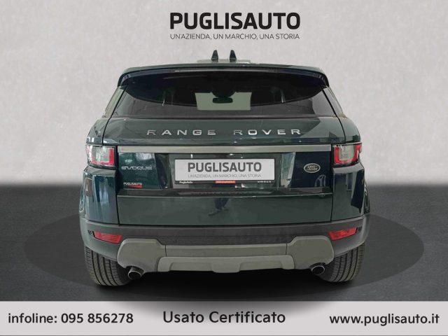 LAND ROVER Range Rover Evoque 2.0 TD4 150 CV 5p. SE