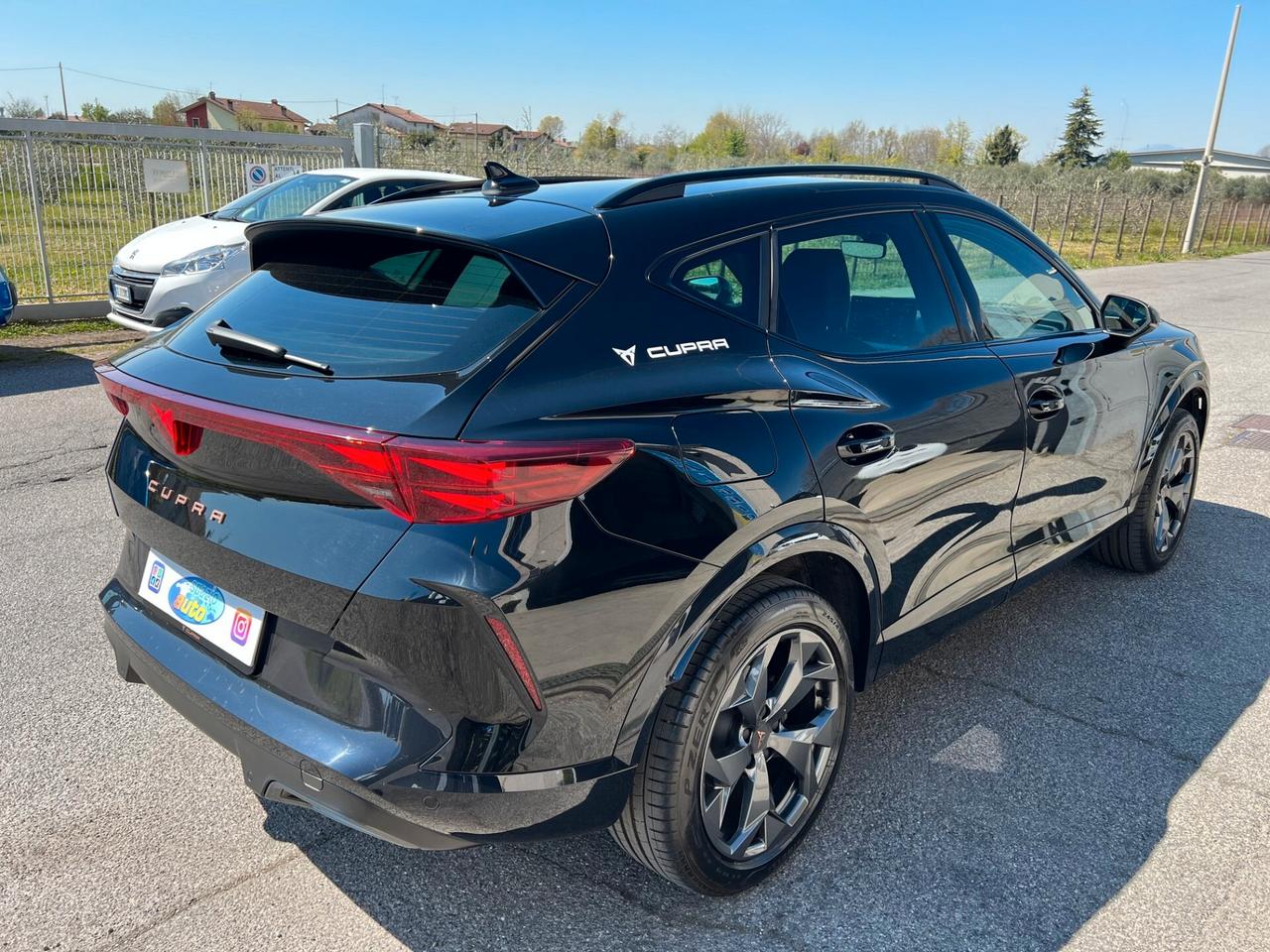 Cupra Formentor 2.0 TDI 4Drive DSG