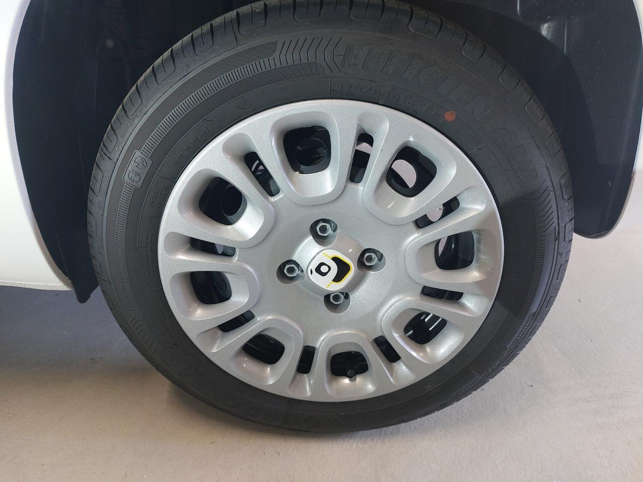 FIAT Panda 3ª serie Panda 1.0 FireFly S&S Hybrid
