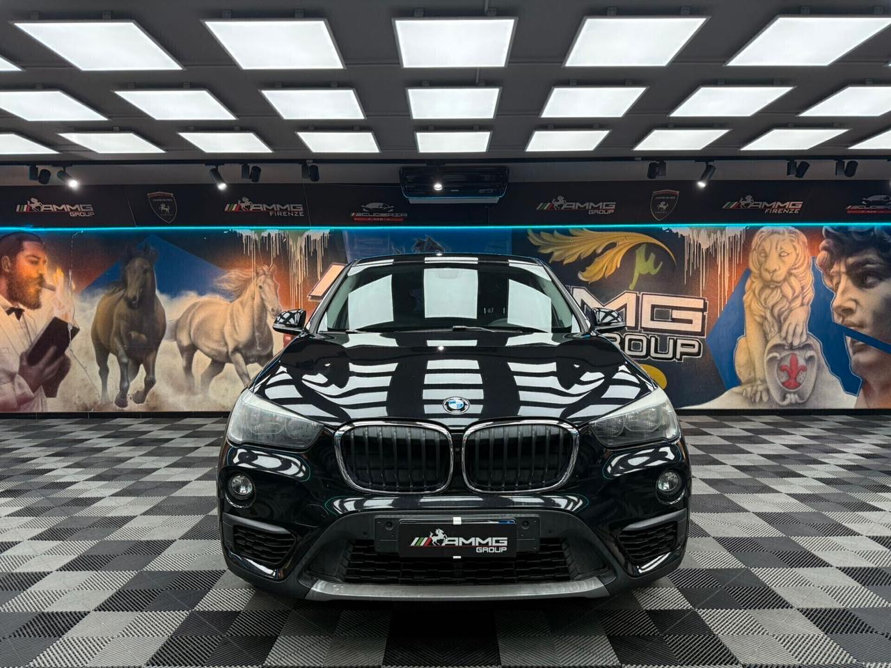 Bmw X1 sDrive18d BUSINESS(489)