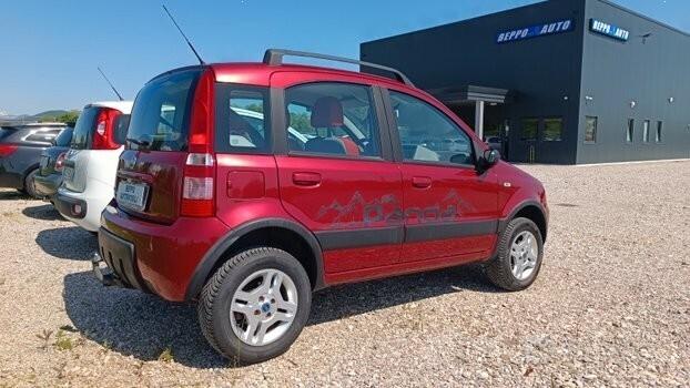 FIAT Panda 4X4 1.2 Benzina