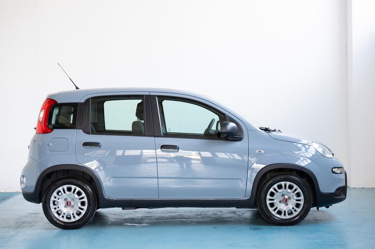 Fiat Panda 1.0 FireFly S&S Hybrid 70CV 2022 IVA ESPOSTA