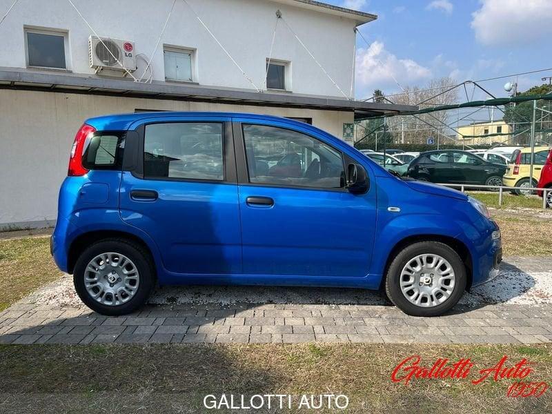 FIAT Panda 1.0 FireFly 70cv S&S Hybrid 4 p.ti - PROMO GALLOTTI
