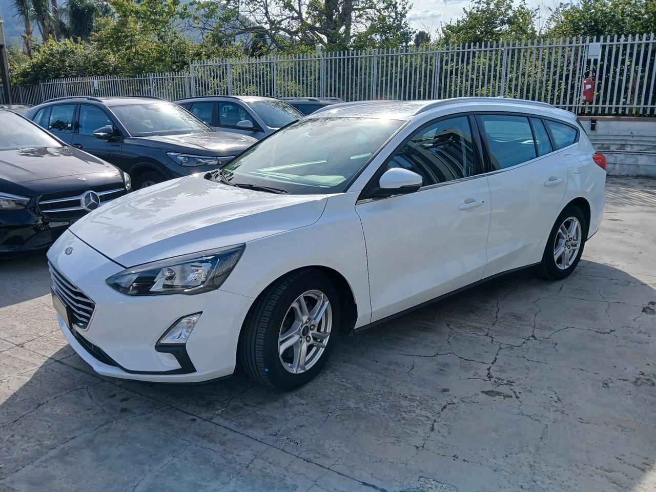 Ford Focus 1.5 EcoBlue 120 CV automatico SW Business Co-Pilot