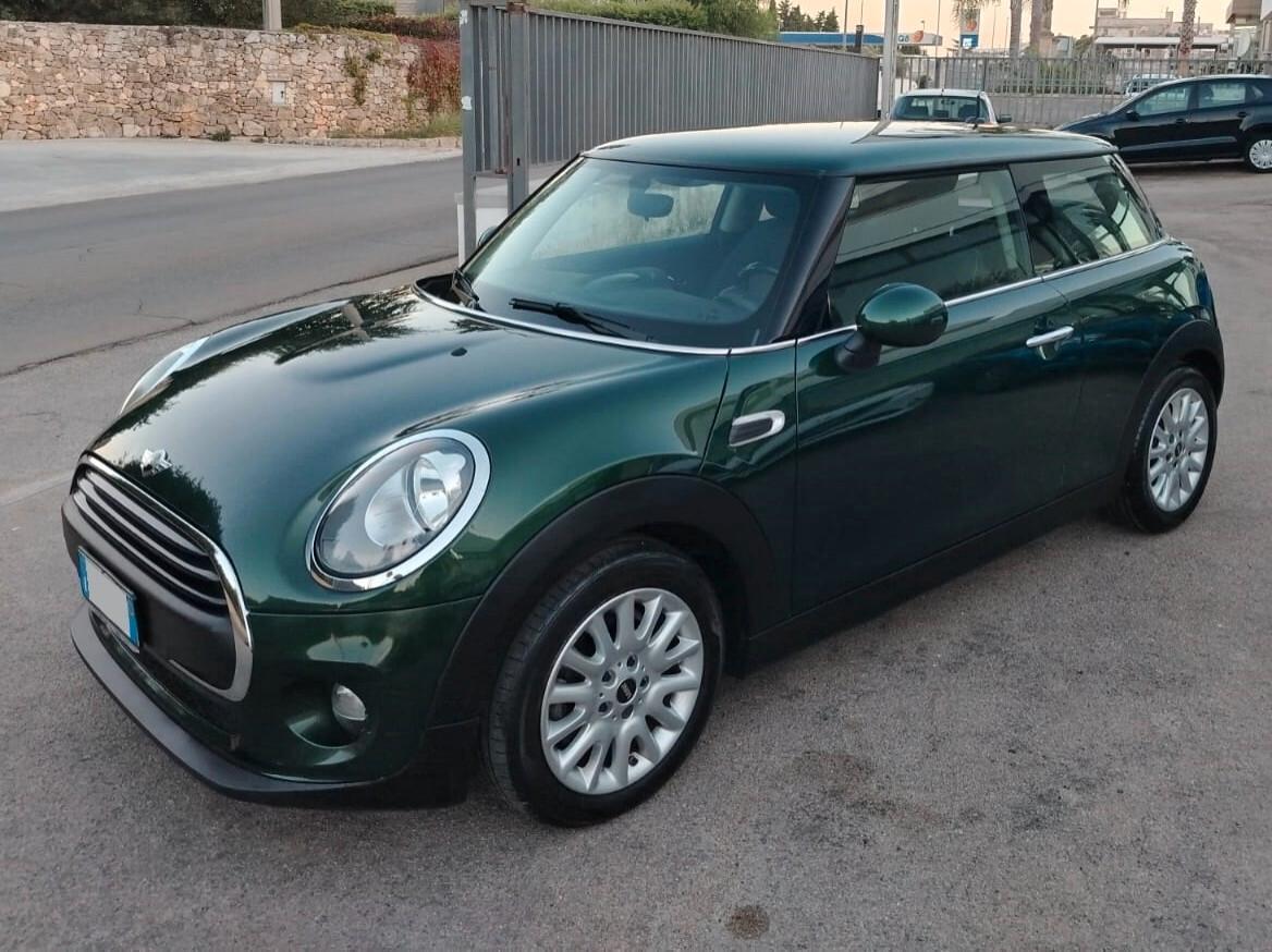 Mini 1.5 One D