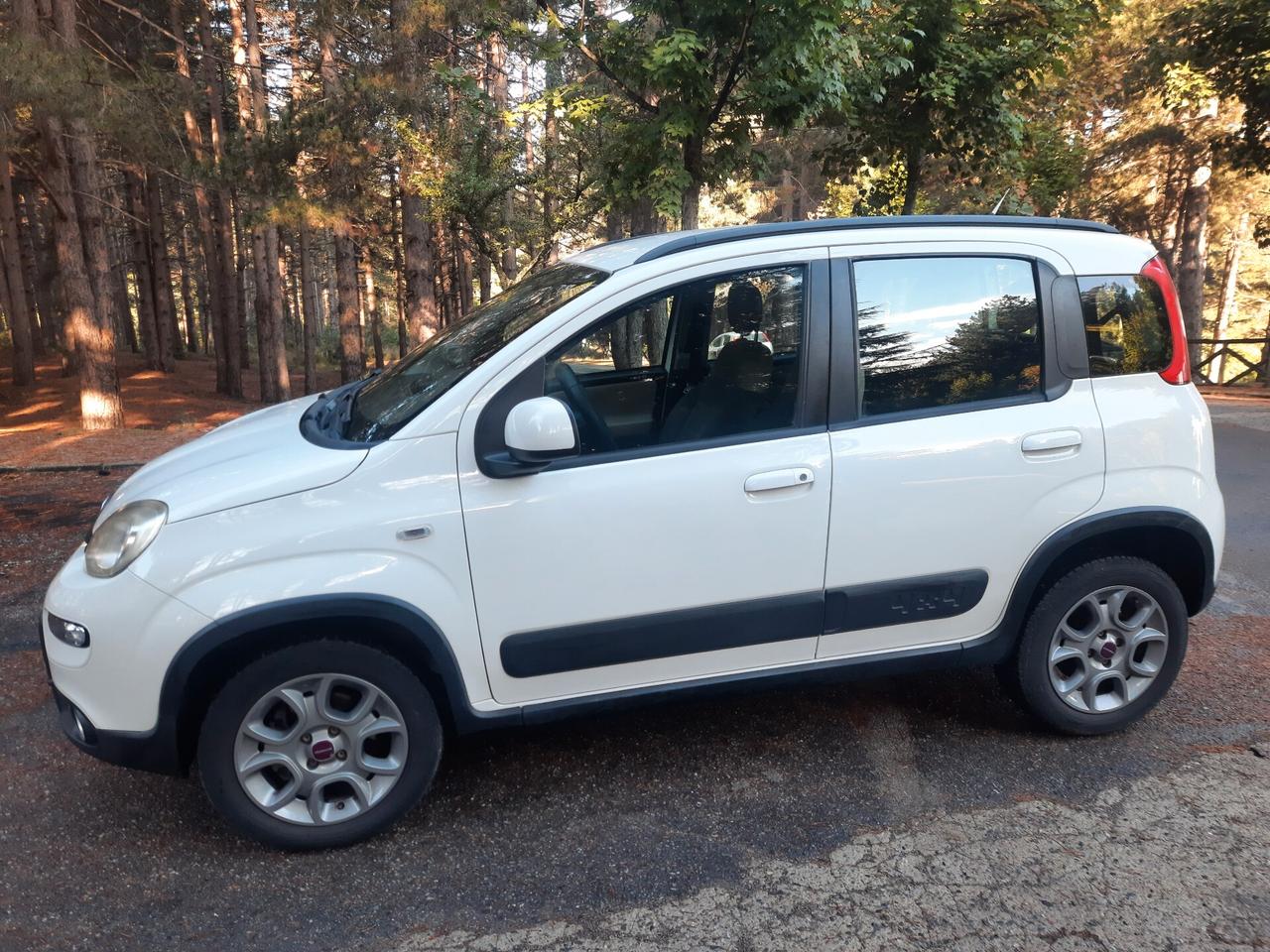 FIAT PANDA 4X4 ANTARTICA 75 CV