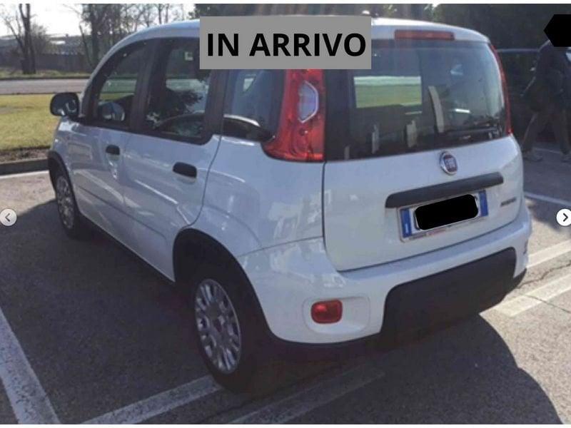 FIAT Panda 1.0 FireFly 70cv S&S Hybrid
