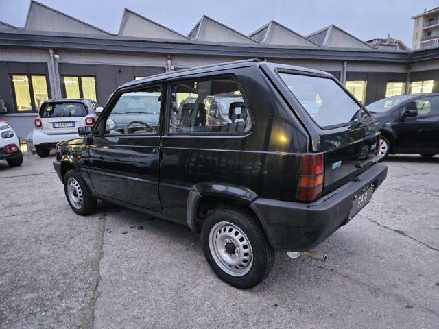 FIAT Panda 1ª serie 900 i.e. cat Young