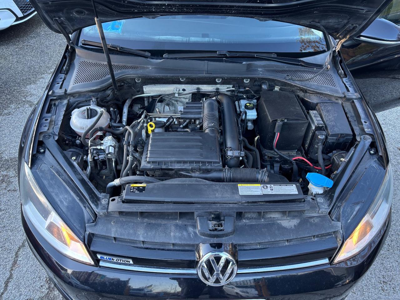 Volkswagen Golf 1.4 TGI 5p. Highline METANO