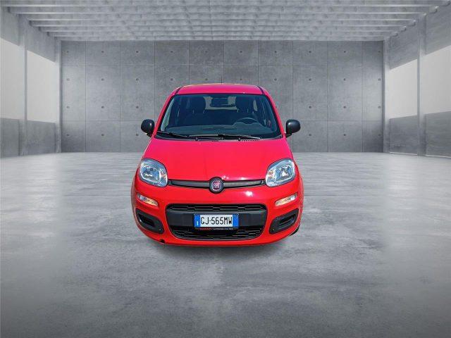 FIAT Panda 3ª serie 1.0 FireFly S&S Hybrid