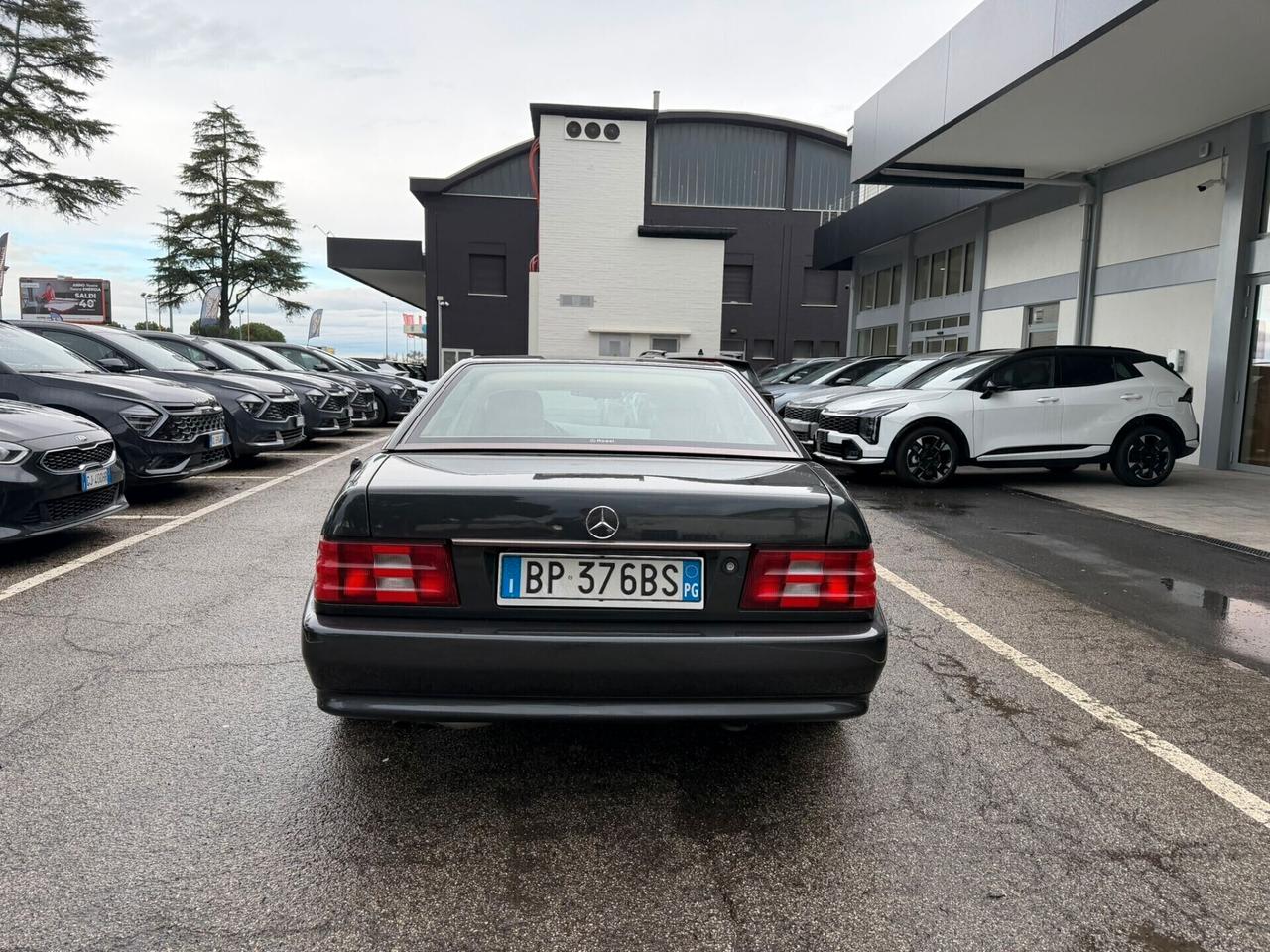 Mercedes-benz SL 300 SL-24 cat