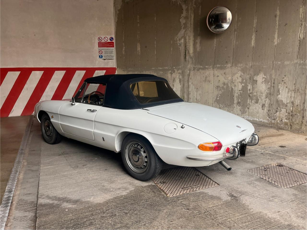 Alfa Romeo Spider 1750 Osso di seppia