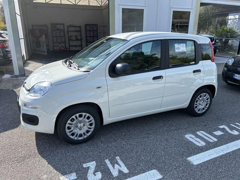 FIAT Panda New 1.0 70cv Hybrid Pop