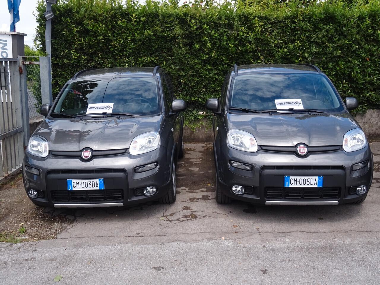 Fiat Panda CityCross 1.0 S&S Hybrid NOLEGGIAMI