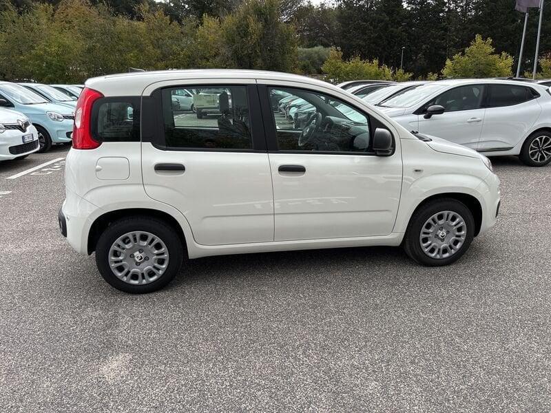 FIAT Panda New 1.0 70cv Hybrid Panda